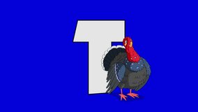 Letter T and  Turkey (foreground). Animated animal alphabet. Motion graphic with chroma key. Animal in a foreground of a letter.