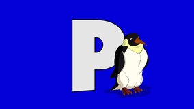 Letter P and Penguin (foreground). Animated animal alphabet. Motion graphic with chroma key. Animal in a foreground of a letter.