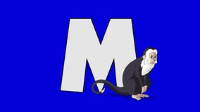 Letter M and  Monkey  (foreground). Animated animal alphabet. Motion graphic with chroma key. Animal in a foreground of a letter.