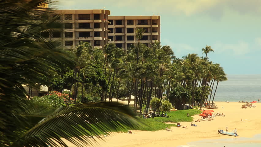 Tropical Beach Resort Paradise HD