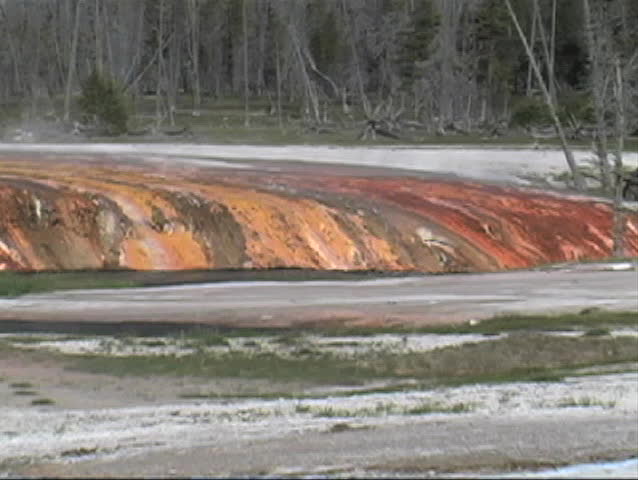 Hot spring running into Yellowstone River