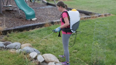 A person killing weeds in their yard with a weed backpack tank sprayer
