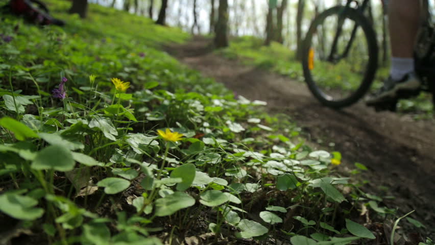 Competitions with a mountain bike
