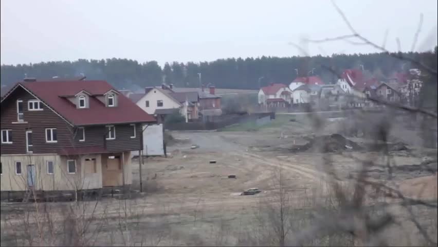 leafless tree with a village on background