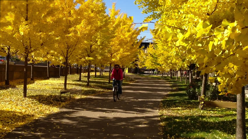 A woman rides her bike through the fall foliage in downtown Pittsburgh,