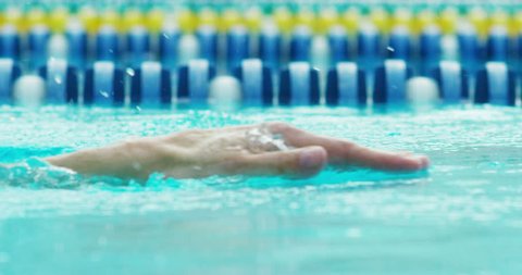 expert swimmer trains at the pool before a race, swimming keeps you fit and is one of the sports in which they train all the muscles of the body.