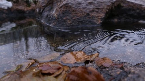 Mountain Creek. Transparent pure water. Mountain landscape.
