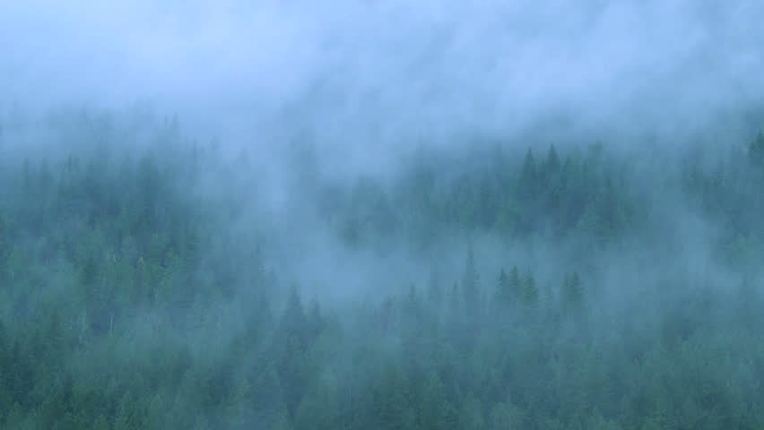 Time lapse of morning mist rising from the forest