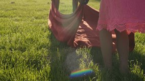 4K Two young children spreading a blanket onto the grass - Powered by Shutterstock - Get 15% off with code: PIKWIZARD15
