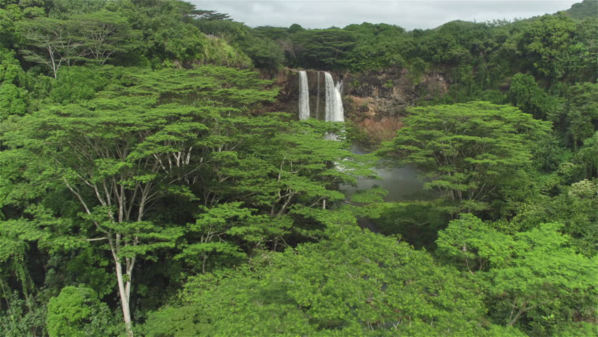 AERIAL CLOSE UP: Flying above magnificent jungle treetops and lush canopies towards and over majestic waterfall in lush rainforest. Amazing jungle river falling over rocky edge in Kauai island, Hawaii Royalty-Free Stock Footage #17748607