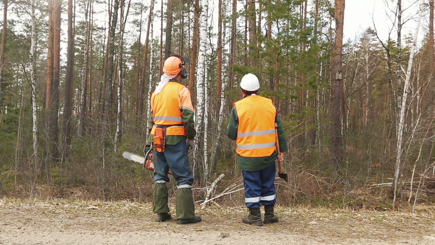 Rear view, two lumberjack looking at the forest Royalty-Free Stock Footage #17748787