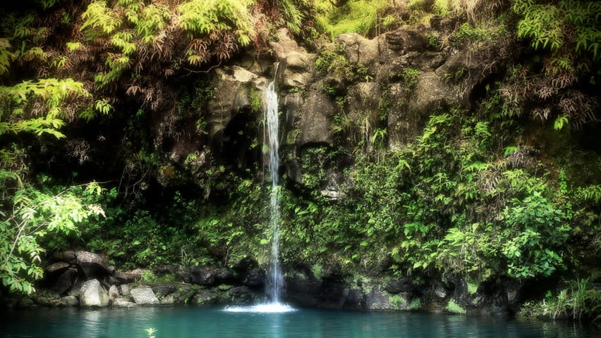 Waterfall in Tropical Paradise