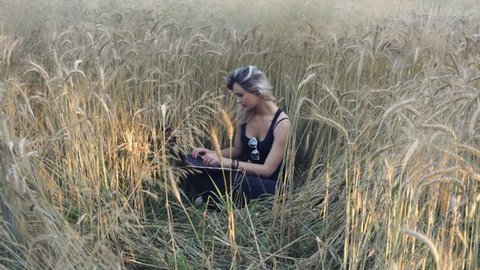 Beautiful blonde sits among ripe wheat ears and uses a laptop