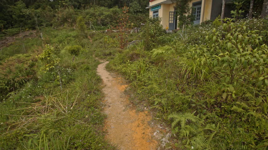 ground upward path with stone steps among green plants leads to yellow house in mountains
