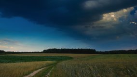 Beautiful summer fields with storm weather, 4k timelapse. 4096x2304, 30fps.