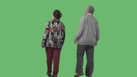 Aged couple is walking from the camera and looking an attractions. Camera is static. Lens 85 mm. Footage with alpha channel. File format - .mov, codec PNG+Alpha