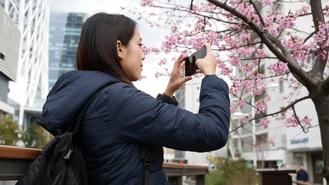 Woman taking photo with cherry tree in Tokyo city Stock Video