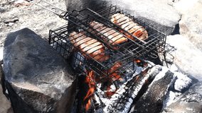 Meat on barbecue grill..