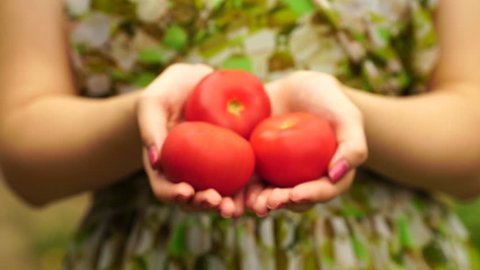 footage Woman holding a tomato close up. 4K video Stock Video