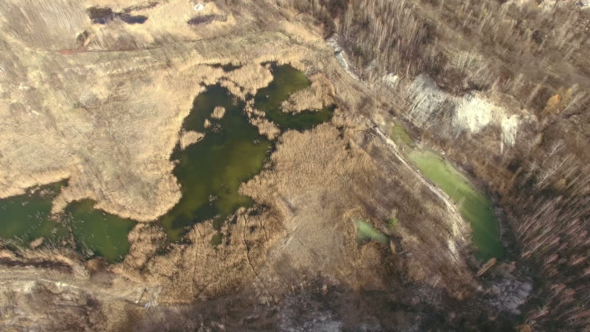 Green Toxic Swamp
