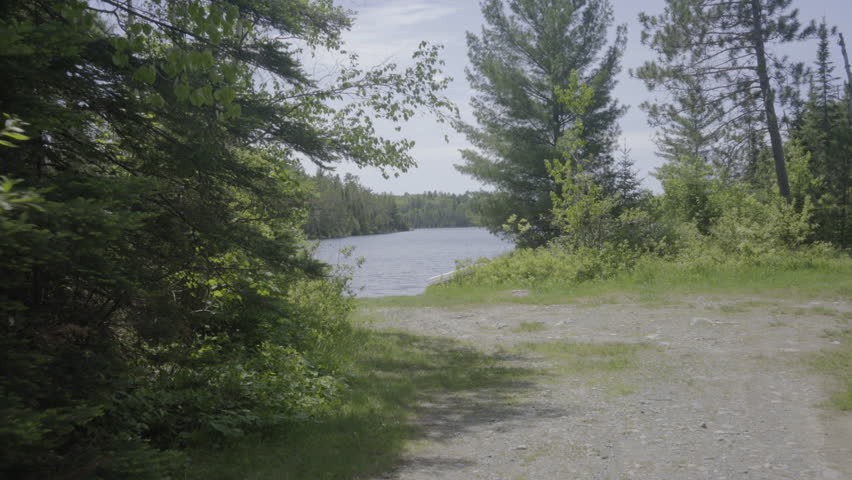 ontario canada wilderness forest nature lake summer observation