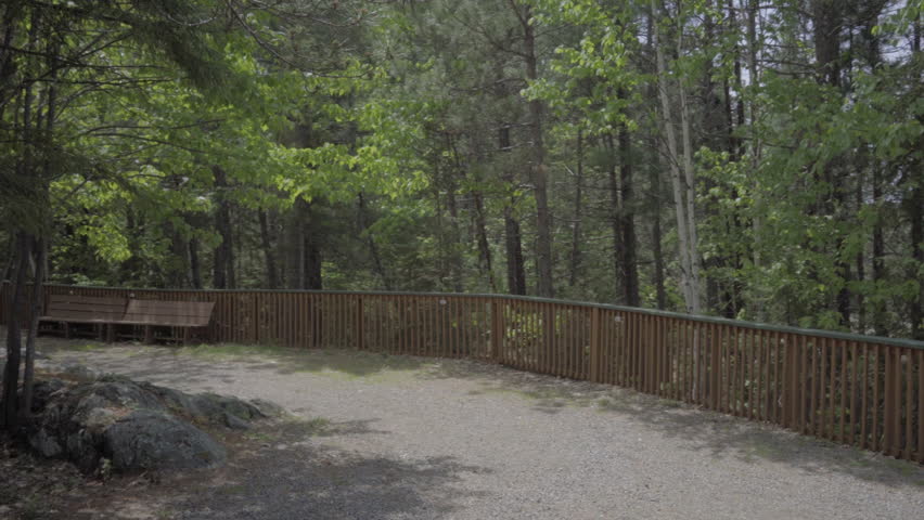 ontario canada wilderness forest nature lake summer wooden benches