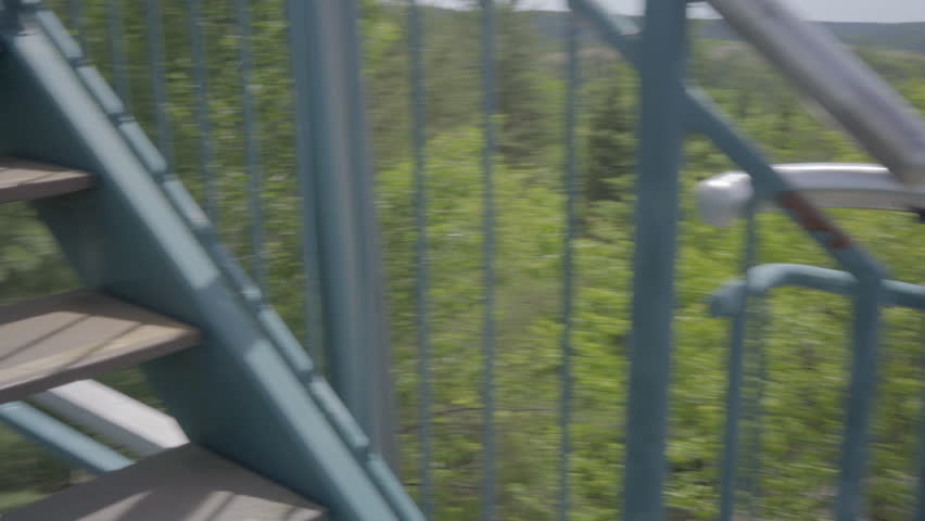 ontario canada wilderness forest nature lake summer observation deck