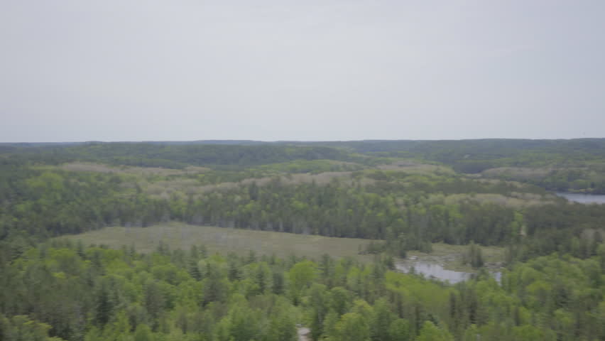 ontario canada wilderness forest nature lake summer observation
