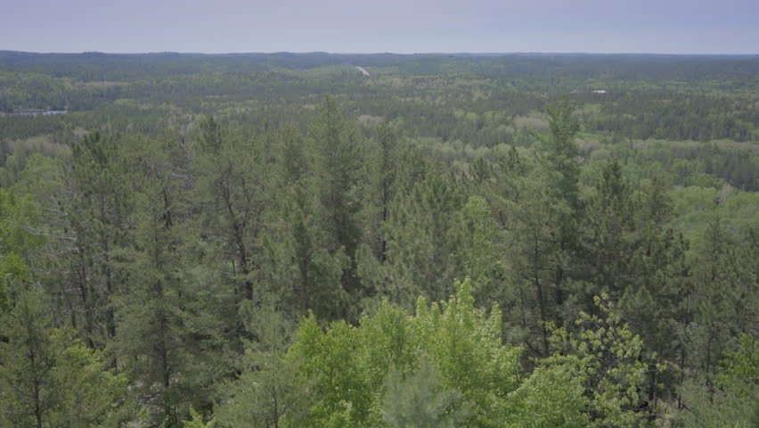 ontario canada wilderness forest nature lake summer observation