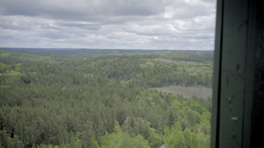 forest wilderness in ontario canada trees and lake