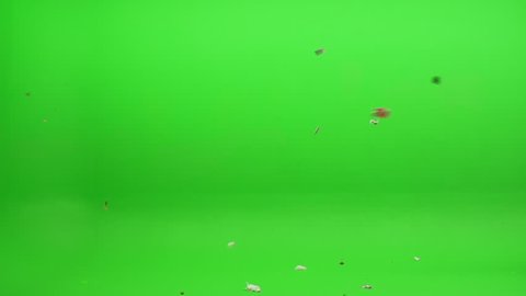 Green screen shot. Foreground element of trash, leaves, a plastic bag and other various debris blowing in the wind. Shot at 240 fps.