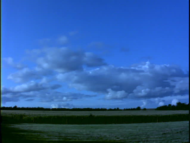 Clouds Over Corn Field