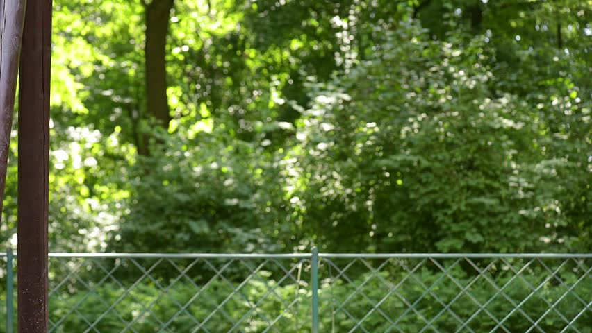 Adorable happy little girl on chain swings in a green summer park