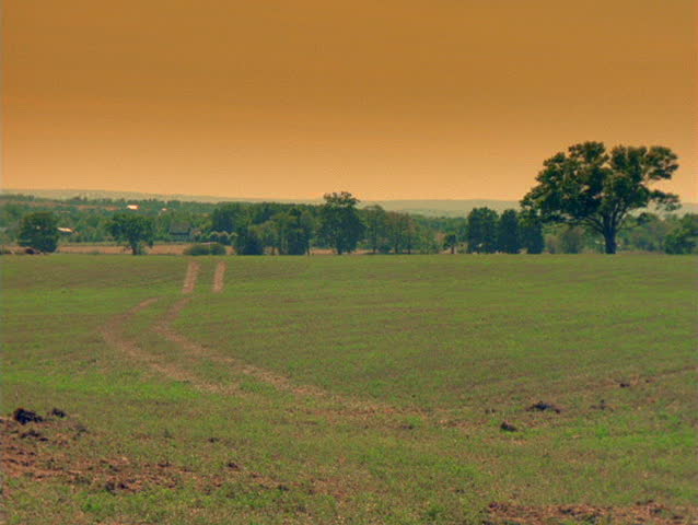 Barn and Green Field