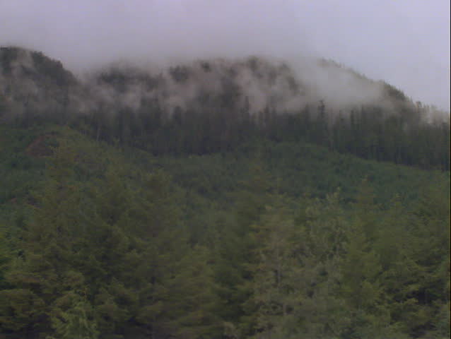 Fog on mountain
