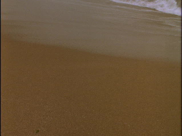 Wave washes onto beach