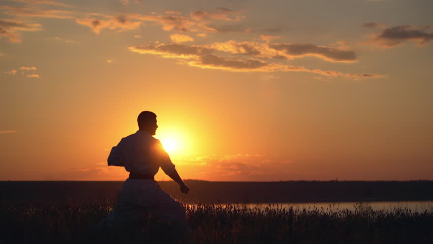 Silhouette of man training karate at sunset.
