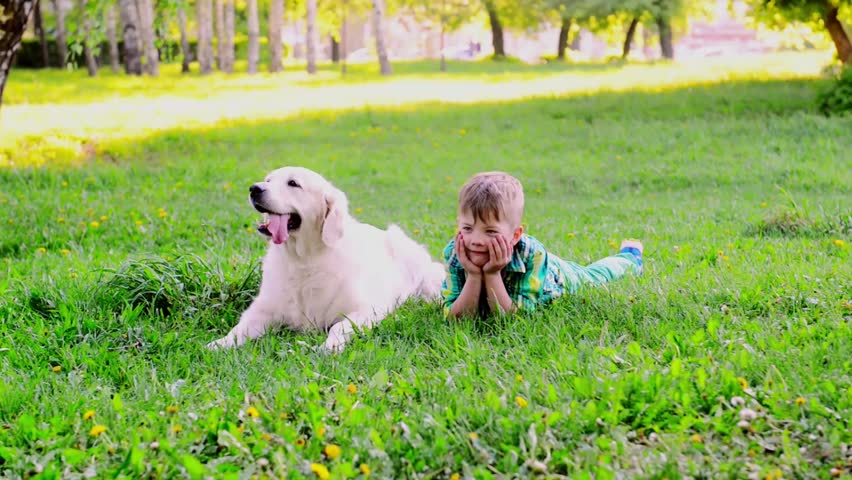 Young boy lying with golden retriever dog on green grass