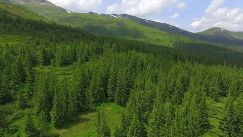 a wonderful flight to the beautiful forest in the mountains of Ukraine