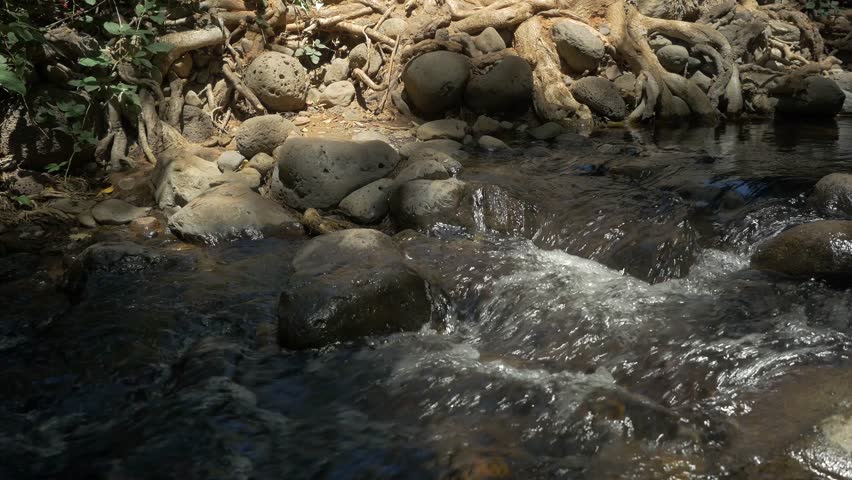 Beaver Creek Arizona