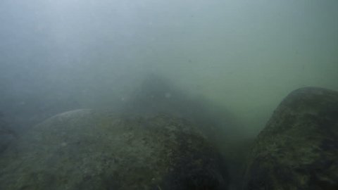 Underwater river flow with particles and rocks on the surface