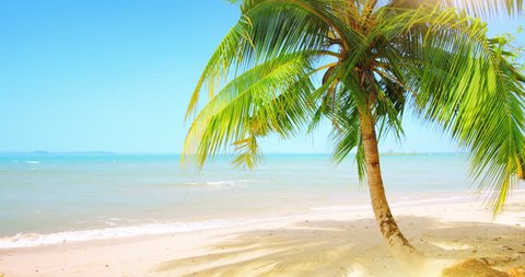 Beautiful tropical coast paradise with sand beach, palm tree and vivid blue sky 