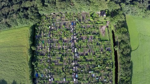 One minute footage aerial of community gardens or allotments showing top down view of  several plots of land made available for individual non-commercial gardening or growing food plants shelters 4k