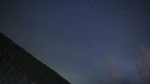 Starry night in the mountain forest.