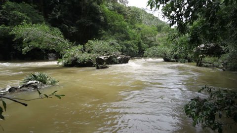 Tropical river at Rio Claro