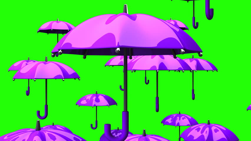 pink and purple umbrella