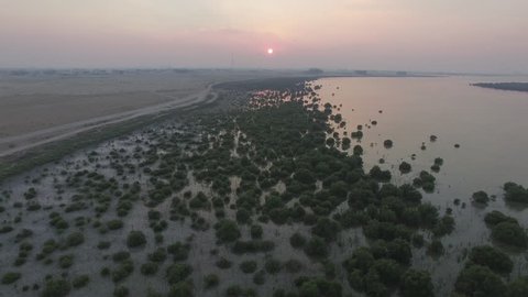 Sunrise - Sunset near mangroves