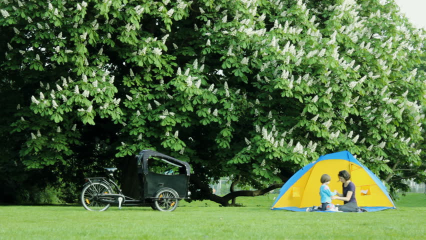 Family Picnic, Tent and Cargo bike in the nature park 
