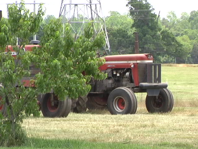 The front end of an older model large tractor is visible while the rest is obscured by a bush.