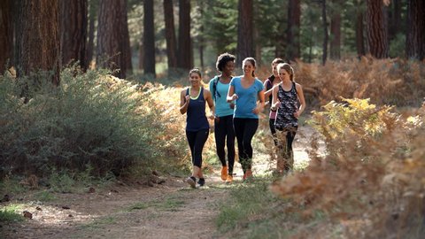 Group of five women runners talking as they walk in a forest